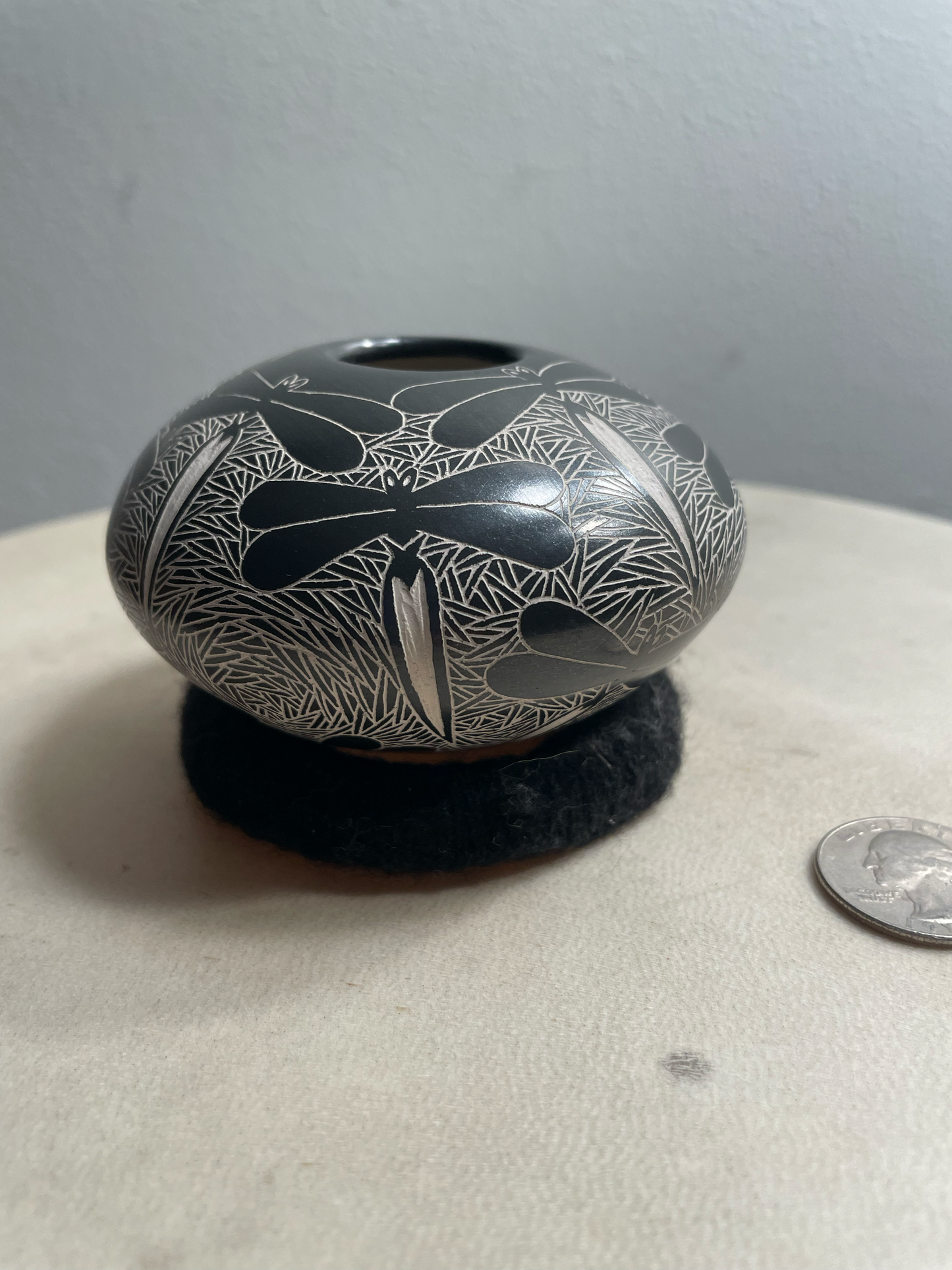 Dragonfly Mata Ortiz