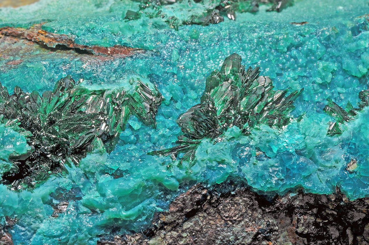 Close up of natural Chrysocolla, a bright Blue-Green Copper Silicate