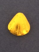 Gold Vermeil Sea Shell Bead