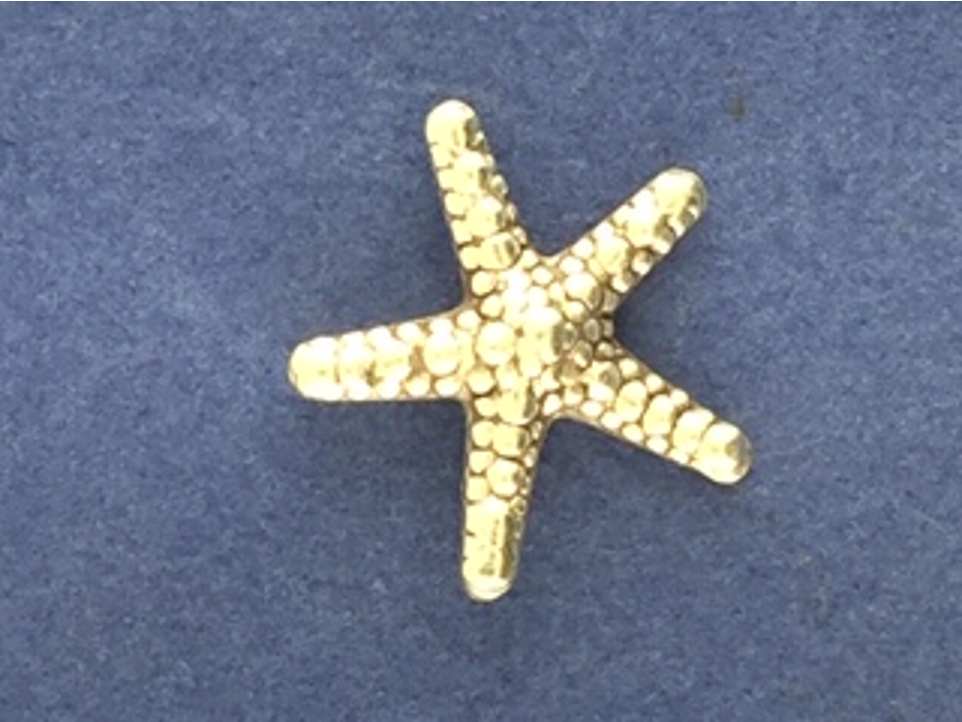 Starfish Pendant, has loop in back, silver