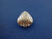 Clam Sea Shell Bead